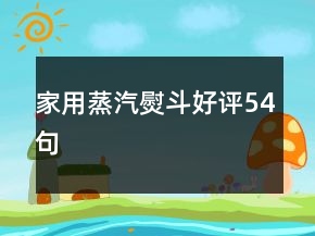 家用蒸汽熨斗好評54句