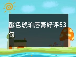 酵色琥珀唇膏好評(píng)53句
