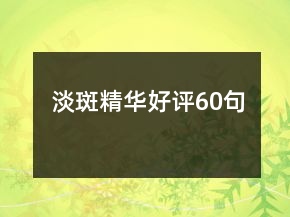 淡斑精華好評60句