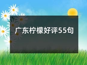 廣東檸檬好評(píng)55句