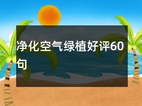 凈化空氣綠植好評(píng)60句