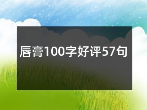 唇膏100字好評(píng)57句