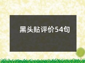 黑頭貼評價(jià)54句