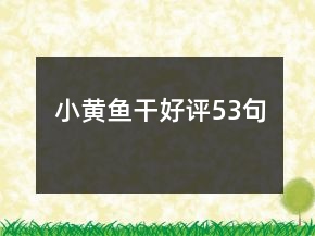 小黃魚干好評(píng)53句