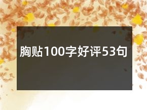 胸貼100字好評(píng)53句