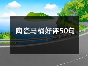 陶瓷馬桶好評50句