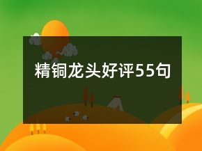精銅龍頭好評55句
