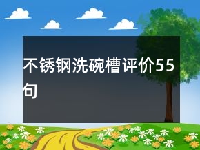 不銹鋼洗碗槽評價55句