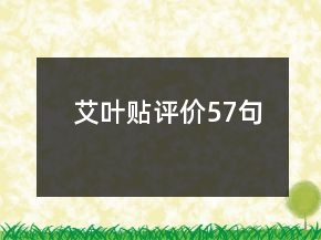 艾葉貼評價57句
