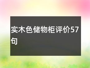 實(shí)木色儲(chǔ)物柜評(píng)價(jià)57句