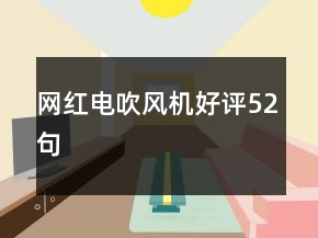 網(wǎng)紅電吹風機好評52句