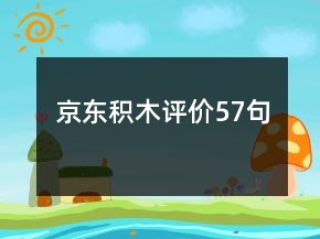 京東積木評價57句