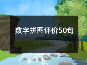 數(shù)字拼圖評價50句