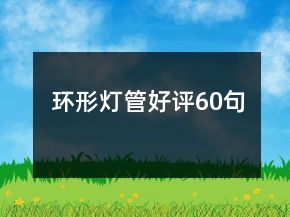 環(huán)形燈管好評60句
