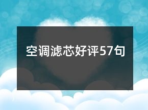 空調(diào)濾芯好評57句