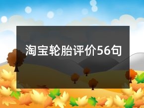 淘寶輪胎評(píng)價(jià)56句