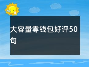 大容量零錢包好評50句