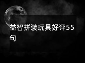 益智拼裝玩具好評55句