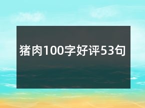 豬肉100字好評53句
