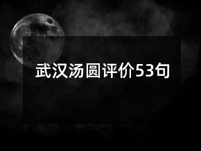 武漢湯圓評(píng)價(jià)53句