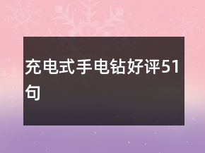 充電式手電鉆好評51句