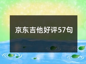 京東吉他好評57句