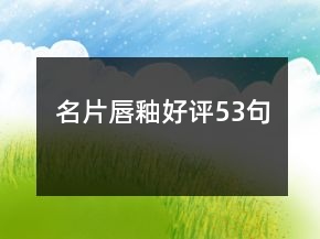 名片唇釉好評(píng)53句
