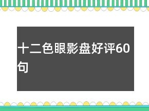 十二色眼影盤好評(píng)60句