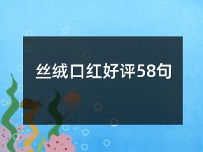 絲絨口紅好評58句