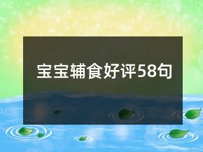 寶寶輔食好評(píng)58句