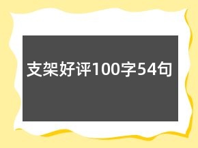 支架好評(píng)100字54句