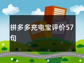 拼多多充電寶評(píng)價(jià)57句