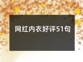 網(wǎng)紅內(nèi)衣好評51句