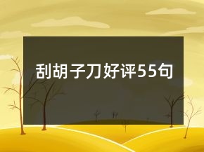 刮胡子刀好評55句