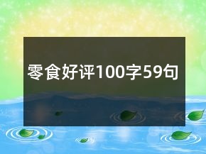 零食好評100字59句