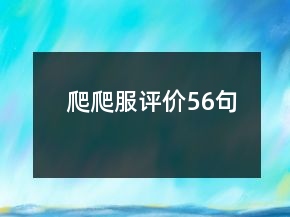 爬爬服評(píng)價(jià)56句