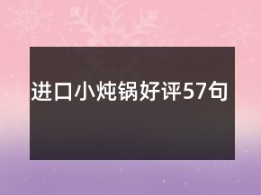 進(jìn)口小燉鍋好評(píng)57句