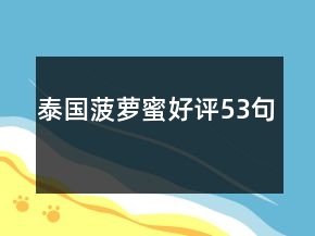 泰國菠蘿蜜好評53句
