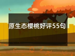 原生態(tài)櫻桃好評(píng)55句