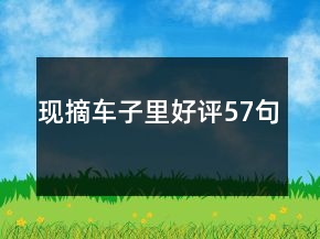 現(xiàn)摘車子里好評(píng)57句