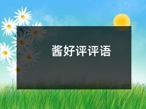 醬好評評語