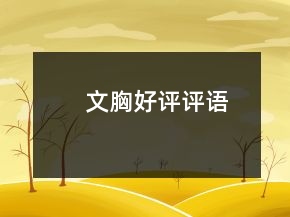 文胸好評評語