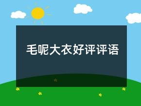 毛呢大衣好評(píng)評(píng)語(yǔ)