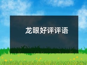 龍眼好評評語