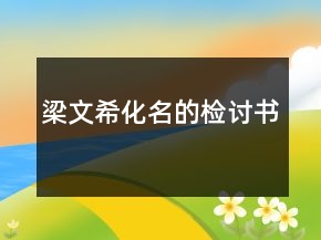 梁文?；臋z討書