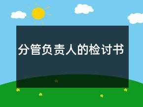 分管負(fù)責(zé)人的檢討書
