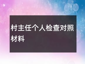 村主任個(gè)人檢查對(duì)照材料