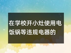 在學(xué)校開(kāi)小灶使用電飯鍋等違規(guī)電器的檢討書(shū)