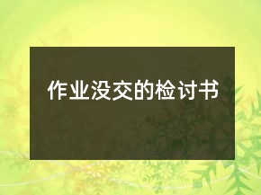 作業(yè)沒交的檢討書