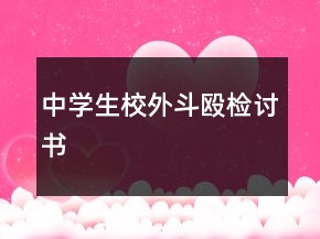 中學(xué)生校外斗毆檢討書